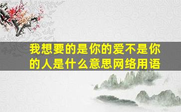 我想要的是你的爱不是你的人是什么意思网络用语