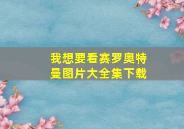 我想要看赛罗奥特曼图片大全集下载