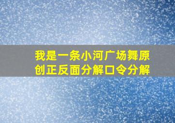 我是一条小河广场舞原创正反面分解口令分解