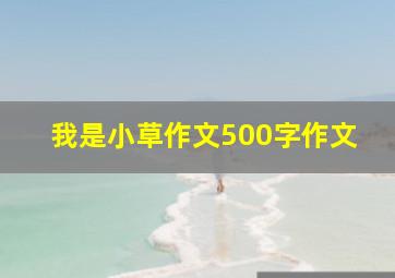 我是小草作文500字作文