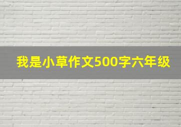 我是小草作文500字六年级