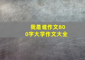 我是谁作文800字大学作文大全