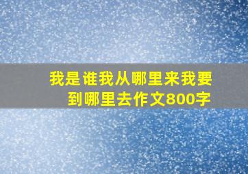 我是谁我从哪里来我要到哪里去作文800字