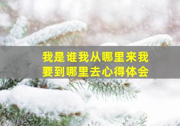 我是谁我从哪里来我要到哪里去心得体会