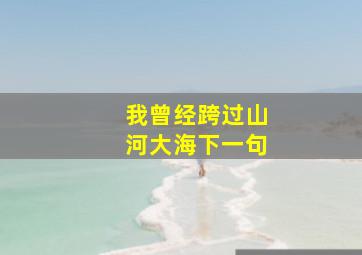 我曾经跨过山河大海下一句