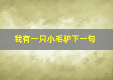 我有一只小毛驴下一句