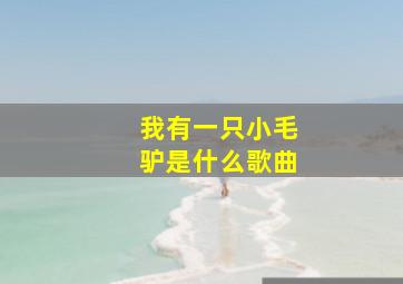 我有一只小毛驴是什么歌曲