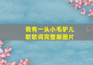 我有一头小毛驴儿歌歌词完整版图片