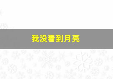 我没看到月亮