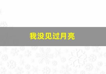 我没见过月亮