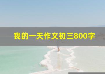 我的一天作文初三800字