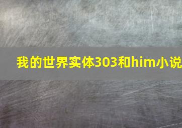 我的世界实体303和him小说