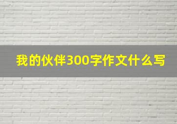 我的伙伴300字作文什么写