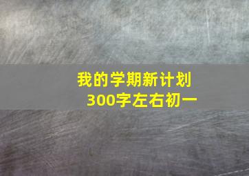 我的学期新计划300字左右初一