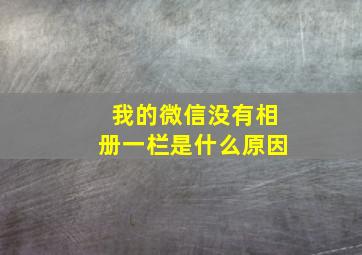 我的微信没有相册一栏是什么原因