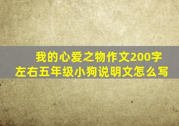 我的心爱之物作文200字左右五年级小狗说明文怎么写