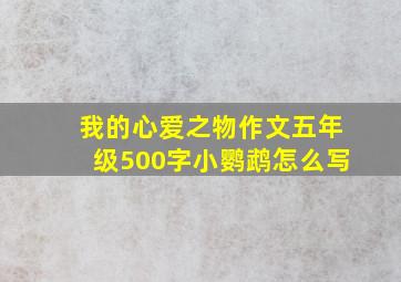 我的心爱之物作文五年级500字小鹦鹉怎么写