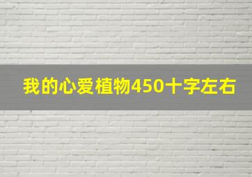 我的心爱植物450十字左右