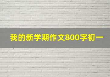 我的新学期作文800字初一