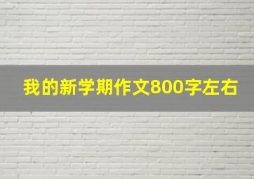 我的新学期作文800字左右