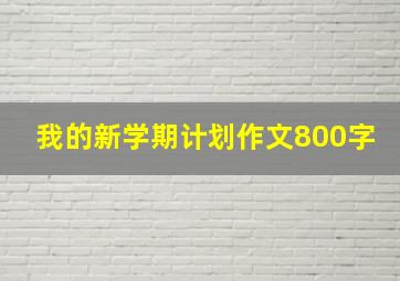 我的新学期计划作文800字