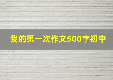 我的第一次作文500字初中