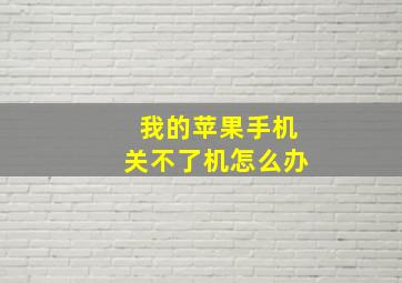 我的苹果手机关不了机怎么办