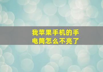 我苹果手机的手电筒怎么不亮了