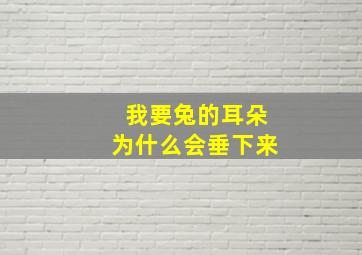 我要兔的耳朵为什么会垂下来