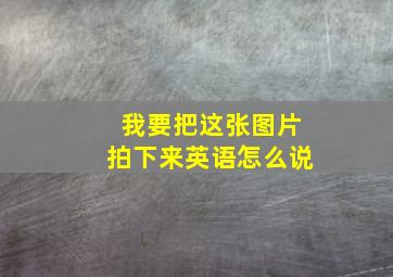 我要把这张图片拍下来英语怎么说