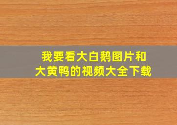 我要看大白鹅图片和大黄鸭的视频大全下载