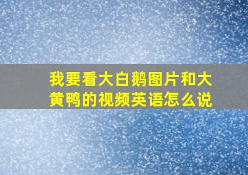 我要看大白鹅图片和大黄鸭的视频英语怎么说