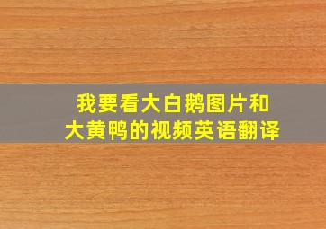 我要看大白鹅图片和大黄鸭的视频英语翻译