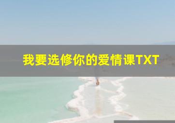 我要选修你的爱情课TXT