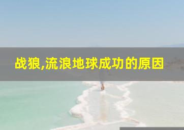 战狼,流浪地球成功的原因