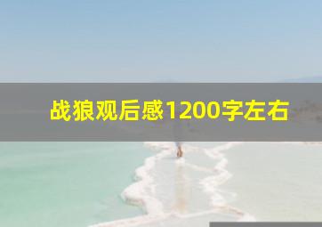 战狼观后感1200字左右