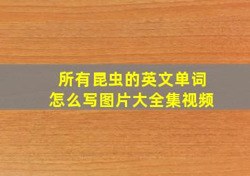 所有昆虫的英文单词怎么写图片大全集视频