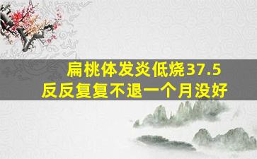 扁桃体发炎低烧37.5反反复复不退一个月没好