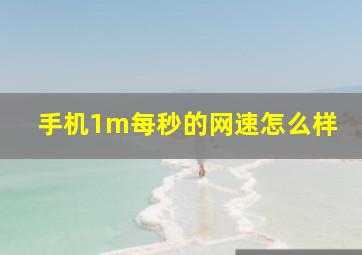 手机1m每秒的网速怎么样