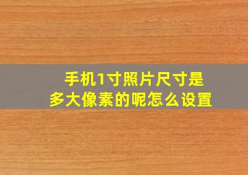 手机1寸照片尺寸是多大像素的呢怎么设置