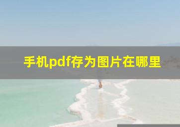 手机pdf存为图片在哪里