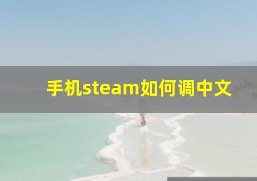 手机steam如何调中文