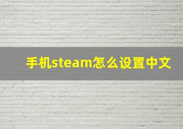 手机steam怎么设置中文