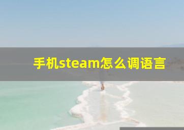 手机steam怎么调语言