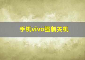 手机vivo强制关机