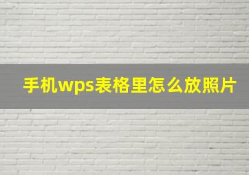 手机wps表格里怎么放照片