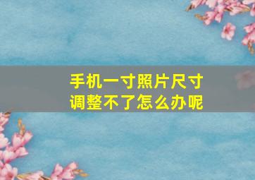 手机一寸照片尺寸调整不了怎么办呢