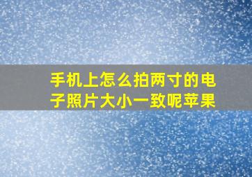 手机上怎么拍两寸的电子照片大小一致呢苹果