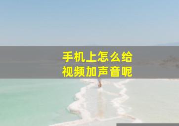 手机上怎么给视频加声音呢