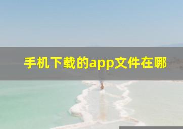 手机下载的app文件在哪